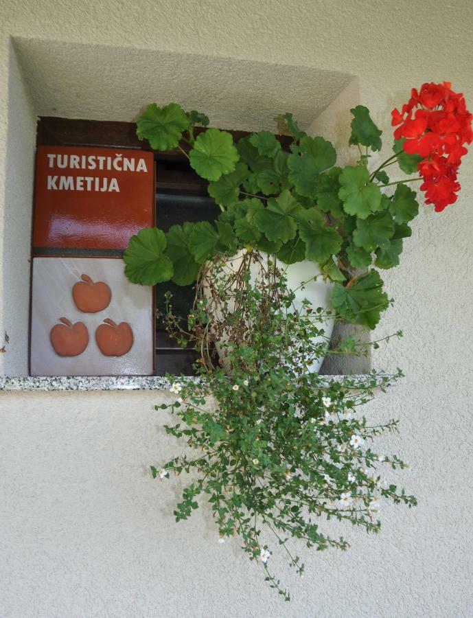 StrazaZidanica Krstinc别墅 外观 照片